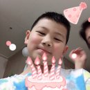 차시원 카카오 검색결과