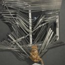 사랑의 선녀수녀회 평화의집 | 함부르크 방문학생 ep 02 | 덤벼라 아이슬란드 항공