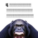 한숨만 나오는 에코프로 4형제의 주가 이미지