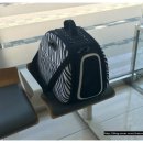 엘로이 동물병원 이미지