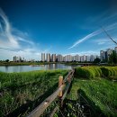 미사올리브부동산중개 | 부동산 찐텐 후기! 배곧 신도시 파헤치기 썰 푼다