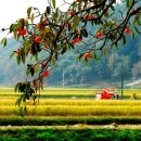 옥구읍사무소 이미지