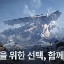 대미기프트 이미지