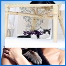 월계힐링펜션 | 월계고양이분양 고양이 분양 비용 정성을 다하는곳