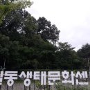 연우치과 네이버블로그
