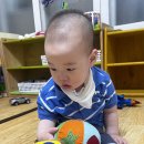 데구르르 이미지