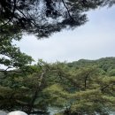 포천 산정호수 근처 최애 카페 &lt;얼리빈스&gt;