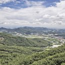 용인자연휴양림 이미지