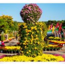 배산체육공원 건너편 이미지