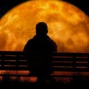 강릉교육문화관 이미지