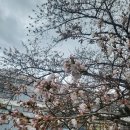 기원커피방 이미지