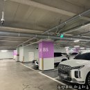 [수원 스타필드 성산명가 웨이브라운지] 보리굴비가 나오는 구이 한상