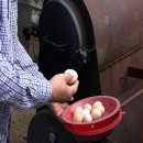 동재농장 이미지