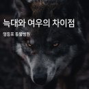 늑대와 여우 이미지