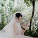 진상가든 | 대전 에스가든 헤이지야 본식스냅 후기