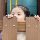 엠키즈어린이집 이미지