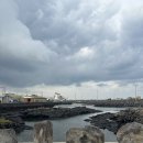 세화14길 | 제주 세화 카페 가는곶 세화 빵 포장 후기