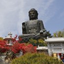 옴천사 아미타불 이미지