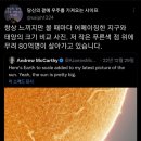 미친포크 이미지
