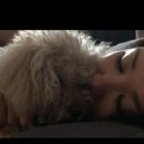 무지개다리 이미지