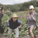 청년농부 - 제주시 원남6길 80 | 청년농부