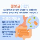 뚱보야식