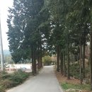 장산민박 이미지