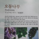 우륵박물관 이미지