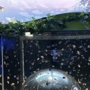 고래생태체험관 화장실 이미지