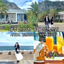 그린 팜파스 | [공지] 제주 산방산 카페 원앤온리 서귀포 가볼만한 곳 브런치 맛집