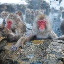 신북리조트
