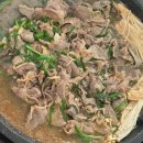 오리궁뎅이 이미지