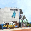 울산 장생포고래박물관 이미지