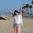 요네쿠라 료코 카카오 검색결과