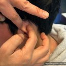 상대동 농협은행 진주시지부 앞 | [경남/진주] 진주젠틀몬스터 도수 가공 및 피팅 전문, 진주 퍼블릭비컨 안경 매장 &#34;시원안경&#34;