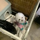 야우농장 이미지