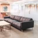 닥터브로우 이미지