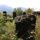 수월초등학교 이미지