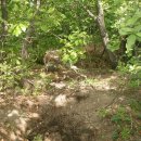 어쭈구리 이미지