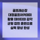 대정골프연습장 | 골프레슨장 대정골프아카데미 활용 데이터와 감각 균형 잡힌 훈련으로 실력 향상 완성