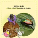 함박유치원 네이버블로그