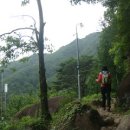 의신민박 이미지