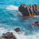 옹기목장 이미지