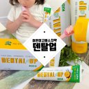 샤인덴탈 | 어린이 고불소 치약 [덴탈업 키즈 치약] 불소 1450ppm으로 아이 충치 예방 중