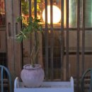 심리서점 쓰담 이미지