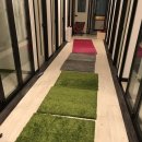 위대한캣츠빌 이미지