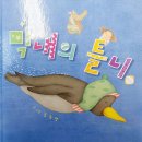 슬기반 미술놀이(박스 자동차 만들기)&동화책 활동(막내의 틀니) 이미지