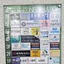 파낙토스 | 성남뇌파검사 후기 판교 파낙토스통합뇌센터 뉴로하모니 체험 솔직 리뷰
