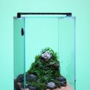 숨쉬는 돌 이미지