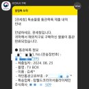 스마트직구 이미지